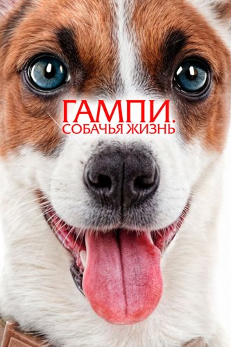  Гампи. Собачья жизнь 